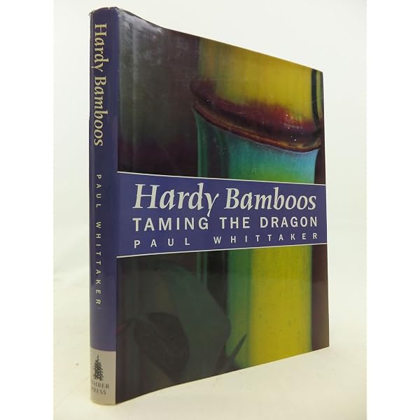 The Book Of Bamboo /anglais: FARRELLY DAVID: 9780500279113: Books